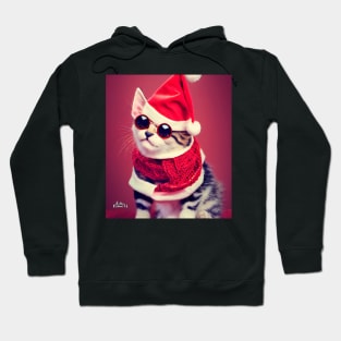 Merry Catmas Christmas Hoodie